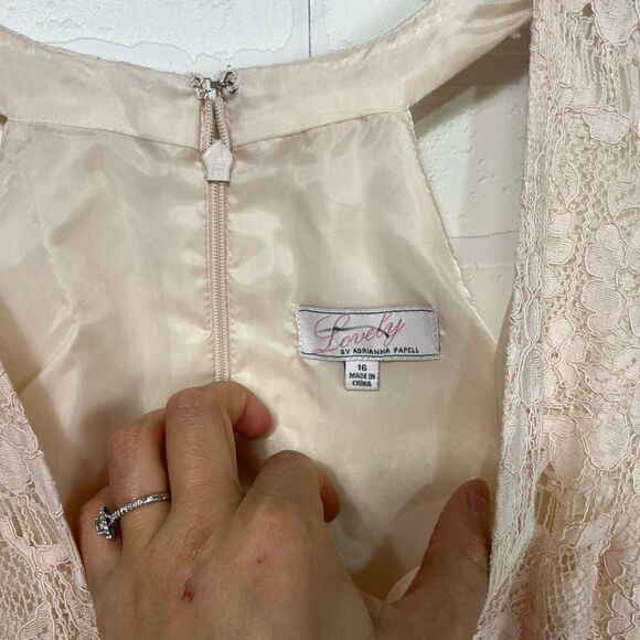 Adrianna Papell Cream and Black Lace Dress - Picture 4 of 15